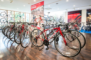 Stores specialized in sports bicycles Sports specialty store