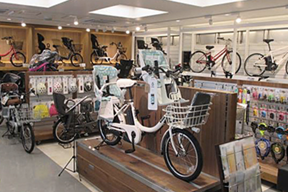 Stores specialized in electric assist bicycles Electric Assist Bicycle Store